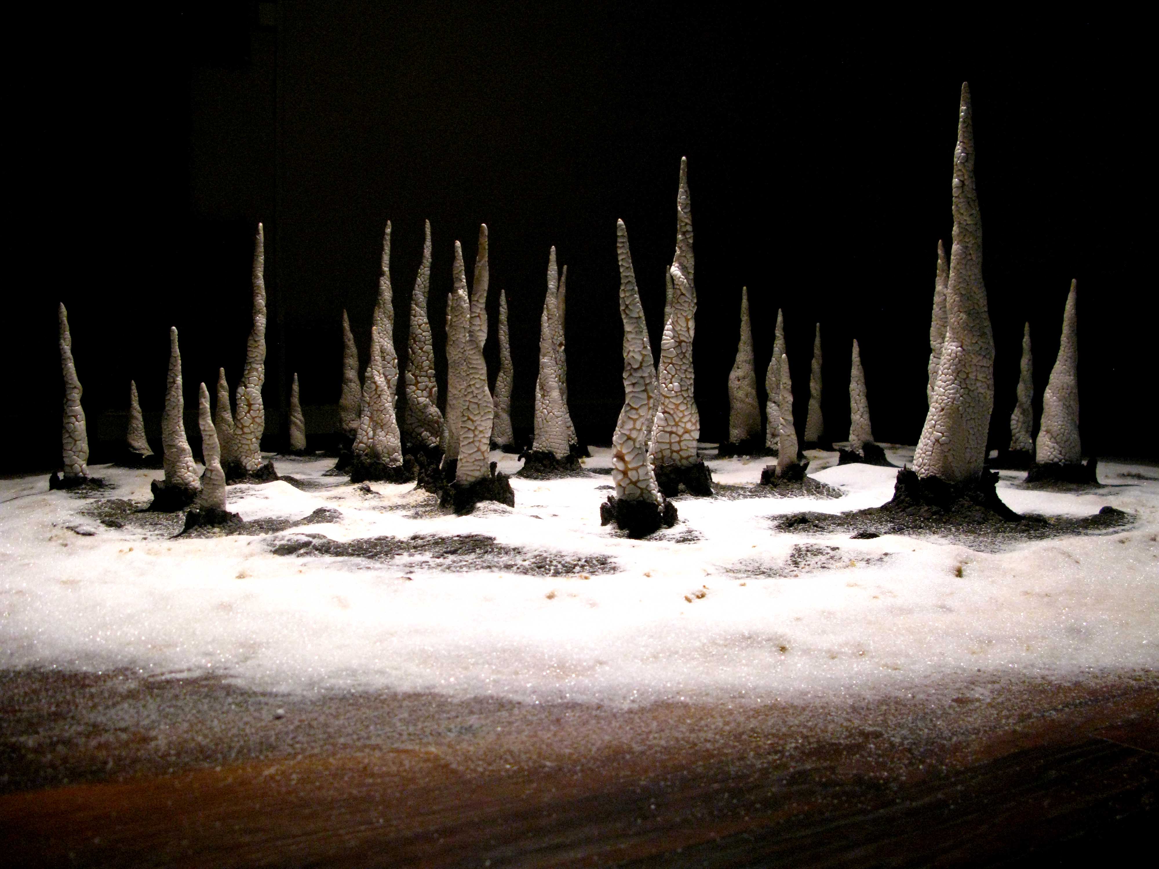 Pneumatophores I Atelier Marion Richomme