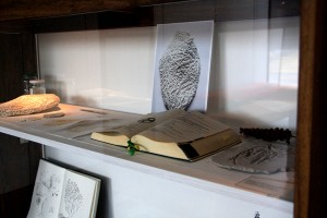 http://www.marionrichomme.com/files/gimgs/th-5_IMG_1314a.jpg