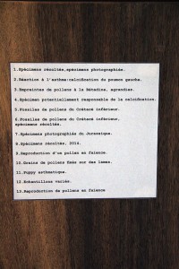 http://www.marionrichomme.com/files/gimgs/th-5_IMG_1316a.jpg