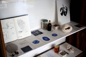 http://www.marionrichomme.com/files/gimgs/th-5_IMG_1318a.jpg