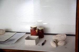 http://www.marionrichomme.com/files/gimgs/th-5_IMG_1322a.jpg