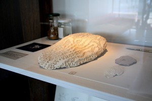 http://www.marionrichomme.com/files/gimgs/th-5_IMG_1330a.jpg