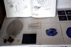 http://www.marionrichomme.com/files/gimgs/th-5_IMG_1331a.jpg