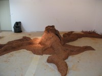 http://www.marionrichomme.com/files/gimgs/th-85_IMG_3873.jpg