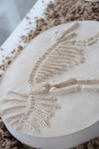 https://www.marionrichomme.com:443/files/gimgs/th-77_IMG_2141.jpg